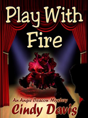 cover image of Play with Fire
